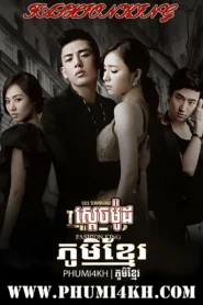 SDACH MOT-FASHION KING-END36